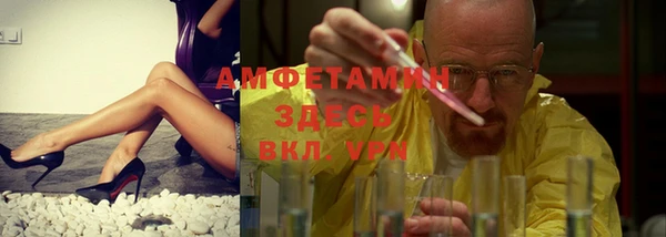 гашик Алексин
