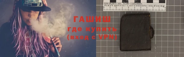 гашик Алексин