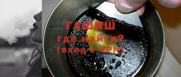 гашик Алексин