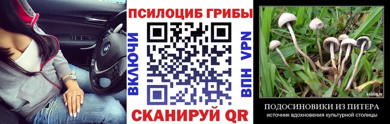 где продают   kraken вход  Галлюциногенные грибы мицелий  Котлас 